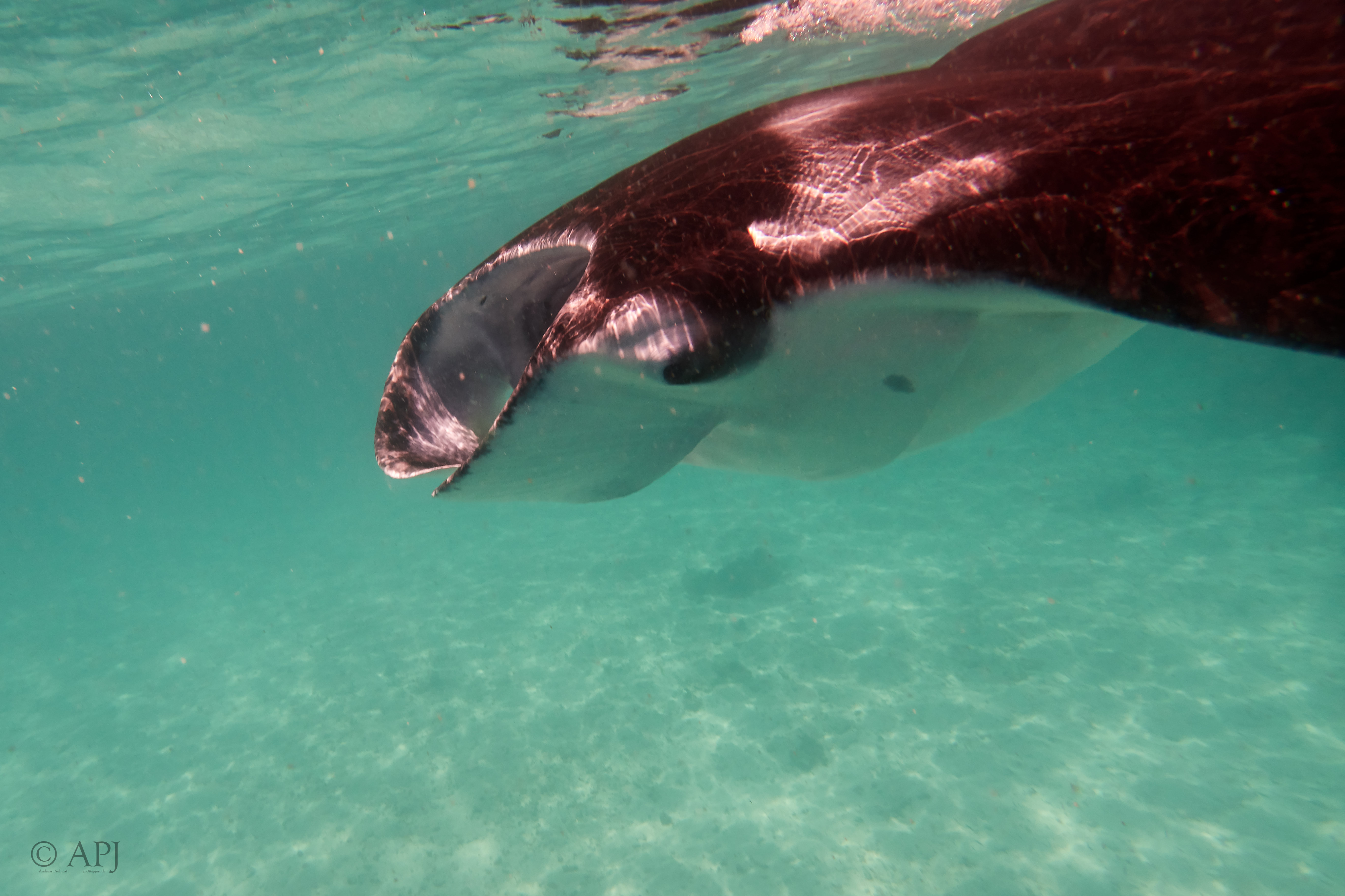 001933 16 08 17  Canon PowerShot G7 X Mark II   Malediven2017